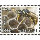 Mavu - East Africa / Malawi 2019 - 700