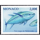 Mediterranean Red Tuna - Monaco 2019 - 2