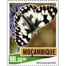 Melanargia galathea - East Africa / Mozambique 2020 - 90.50