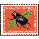 Melanesian Rhinoceros Beetle (Scapanes australis) - Melanesia / Netherlands New Guinea 1961