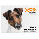 Mille - Denmark 2019 - 10