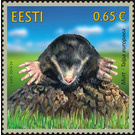 Mole (Talpa europaea) - Estonia 2019 - 0.65