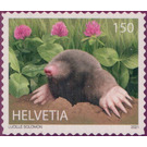 Mole (Talpa europaea) - Switzerland 2021 - 150