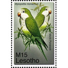 Monk Parakeet (Myiopsitta monachus) - South Africa / Lesotho 2007 - 15