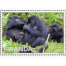 Mountain Gorilla (Gorilla beringei beringei) - East Africa / Rwanda 2010 - 40