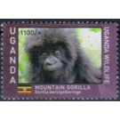 Mountain Gorilla (Gorilla beringei beringei) - East Africa / Uganda 2017