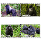 Mountain gorillas - East Africa / Rwanda 2010 Set