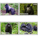 Mountain gorillas - East Africa / Rwanda 2010 Set