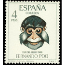 Moustached Guenon (Cercopithecus cephus) - Central Africa / Equatorial Guinea  / Fernando Po 1966 - 4