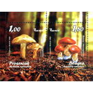 Mushrooms - Bosnia and Herzegovina 2020
