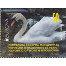 Mute Swan (Cygnus olor) - Macedonia / North Macedonia 2021 - 50