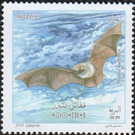 Natterer's Bat (Myotis nattereri) - North Africa / Algeria 2020 - 20