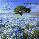 Natural Landscapes - Japan 2021 - 84