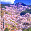 Natural Landscapes - Japan 2021 - 84