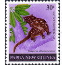 New Guinean Quoll (Dasyrus albopunctatus) - Melanesia / Papua and New Guinea / Papua New Guinea 1980 - 30