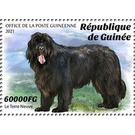 Newfoundland - West Africa / Guinea 2021