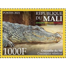 Nile Crocodile (Crocodylus niloticus) - West Africa / Mali 2021