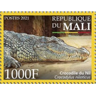 Nile Crocodile (Crocodylus niloticus) - West Africa / Mali 2021