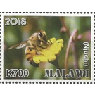 Njuchi - East Africa / Malawi 2019 - 700