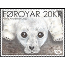 NORDEN 2020 : Grey Seal (Halichoerus grypus) - Faroe Islands 2020 - 20