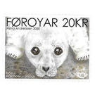 NORDEN 2020 : Grey Seal (Halichoerus grypus) - Faroe Islands 2020 - 20