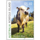 Norfolk Blue Cattle - Norfolk Island 2020 - 1.10