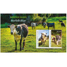 Norfolk Blue Cattle - Norfolk Island 2020