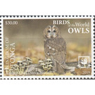 Northern Hawk Owl - Polynesia / Tonga 2019 - 30