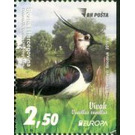 Northern Lapwing (Vanellus vanellus) - Bosnia and Herzegovina 2019 - 2.50