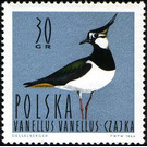 Northern Lapwing (Vanellus vanellus) - Poland 1964 - 30