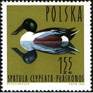 Northern Shoveler (Anas clypeata) - Poland 1964 - 1.55