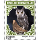 Northern White-faced Owl (Ptilopsis leucotis) - Central Africa / Central African Republic 2021 - 900