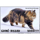 Norwegian Forest Cat - West Africa / Guinea-Bissau 2020