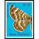 Notoreas blax - New Zealand 2020 - 1.30