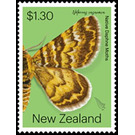 Notoreas casanova - New Zealand 2020 - 1.30