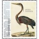 Nozeman & Sepp's "Birds of the Netherlands" - Caribbean / Bonaire 2021 - 99