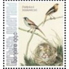 Nozeman & Sepp's "Birds of the Netherlands" - Caribbean / Bonaire 2021 - 99