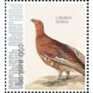 Nozeman & Sepp's "Birds of the Netherlands" - Caribbean / Bonaire 2021 - 99