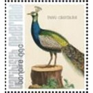 Nozeman & Sepp's "Birds of the Netherlands" - Caribbean / Bonaire 2021 - 99