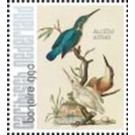 Nozeman & Sepp's "Birds of the Netherlands" - Caribbean / Bonaire 2021 - 99