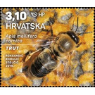 Nurse bee - Croatia 2019 - 3.10