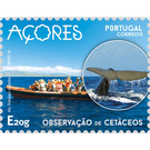Observation of Whales on Faial - Portugal / Azores 2020