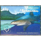 Oceanic whitetip shark - Micronesia / Micronesia, Federated States 2015 - 49