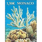 Oceanographic Museum of Monaco : Corals - Monaco 2020 - 1.90