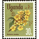 Ochna (Ochna ovata) - East Africa / Uganda 1969 - 30
