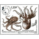 Octopus - French Australian and Antarctic Territories 2020 - 1.55