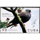 Ojigualda Pigeon - Caribbean / Cuba 2020