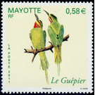 Olive Bee-eater (Merops superciliosus) - East Africa / Mayotte 2011 - 0.58