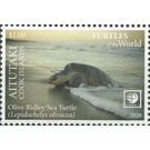 Olive Ridley Sea Turtle (Lepidochelys olivacea) - Aitutaki 2020 - 1