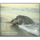 Olive Ridley Sea Turtle (Lepidochelys olivacea) - Aitutaki 2020 - 1